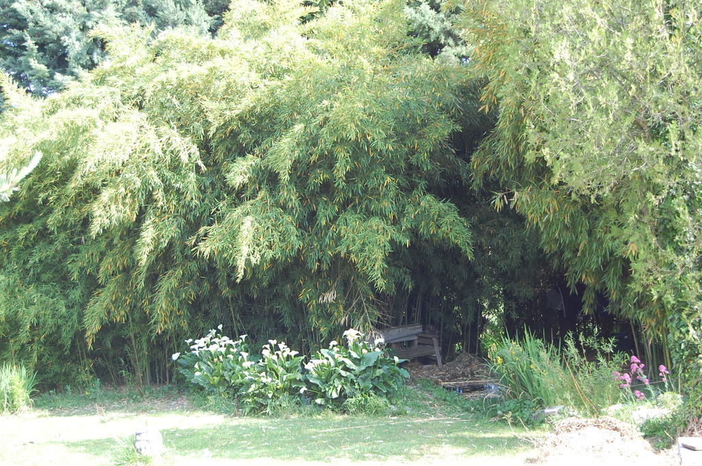 Chantemerle-lès-Grignan Gite Le Gre מראה חיצוני תמונה